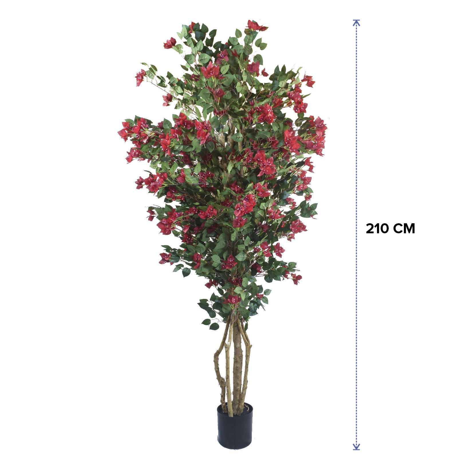 158399-AZALEA210-dimensiones.jpg