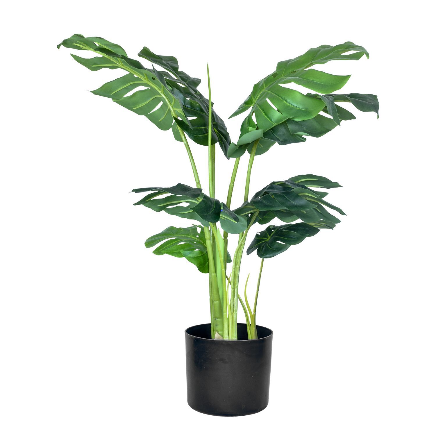 19696-MONSTERA-90-2.jpg