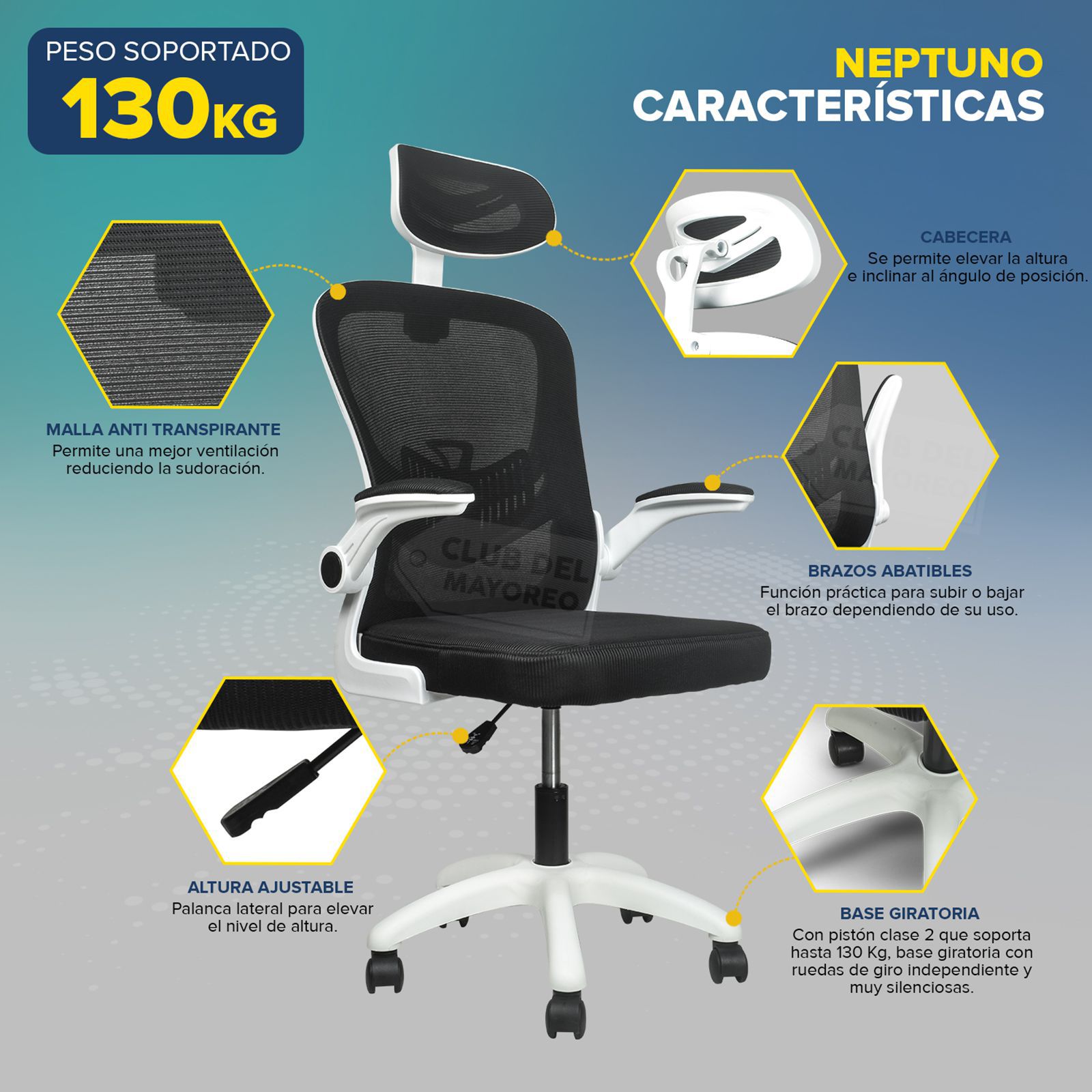 26470-NEPTUNO-7.jpg