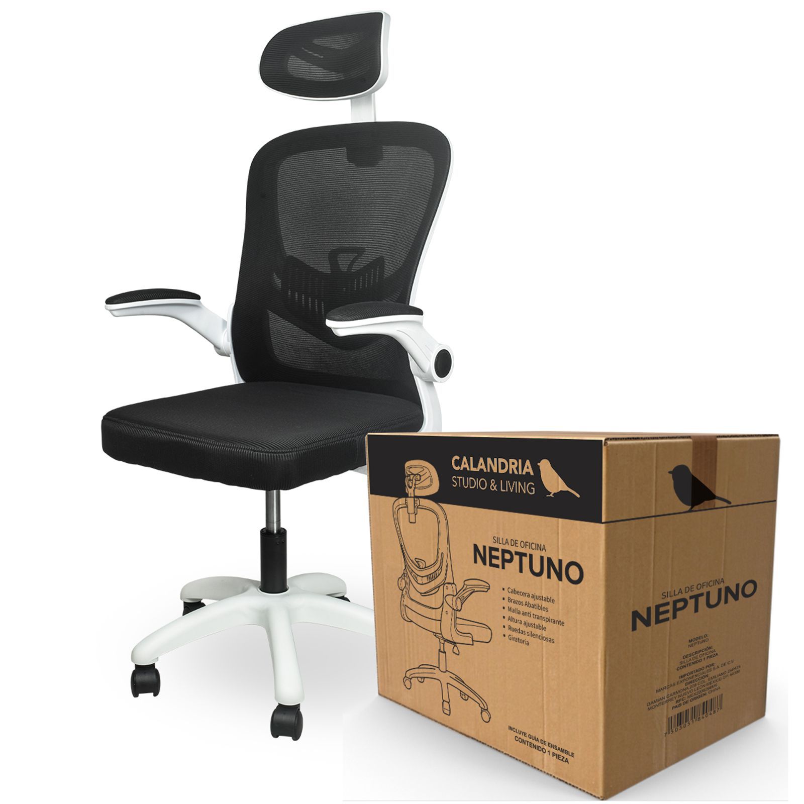 406577-NEPTUNO-0.jpg