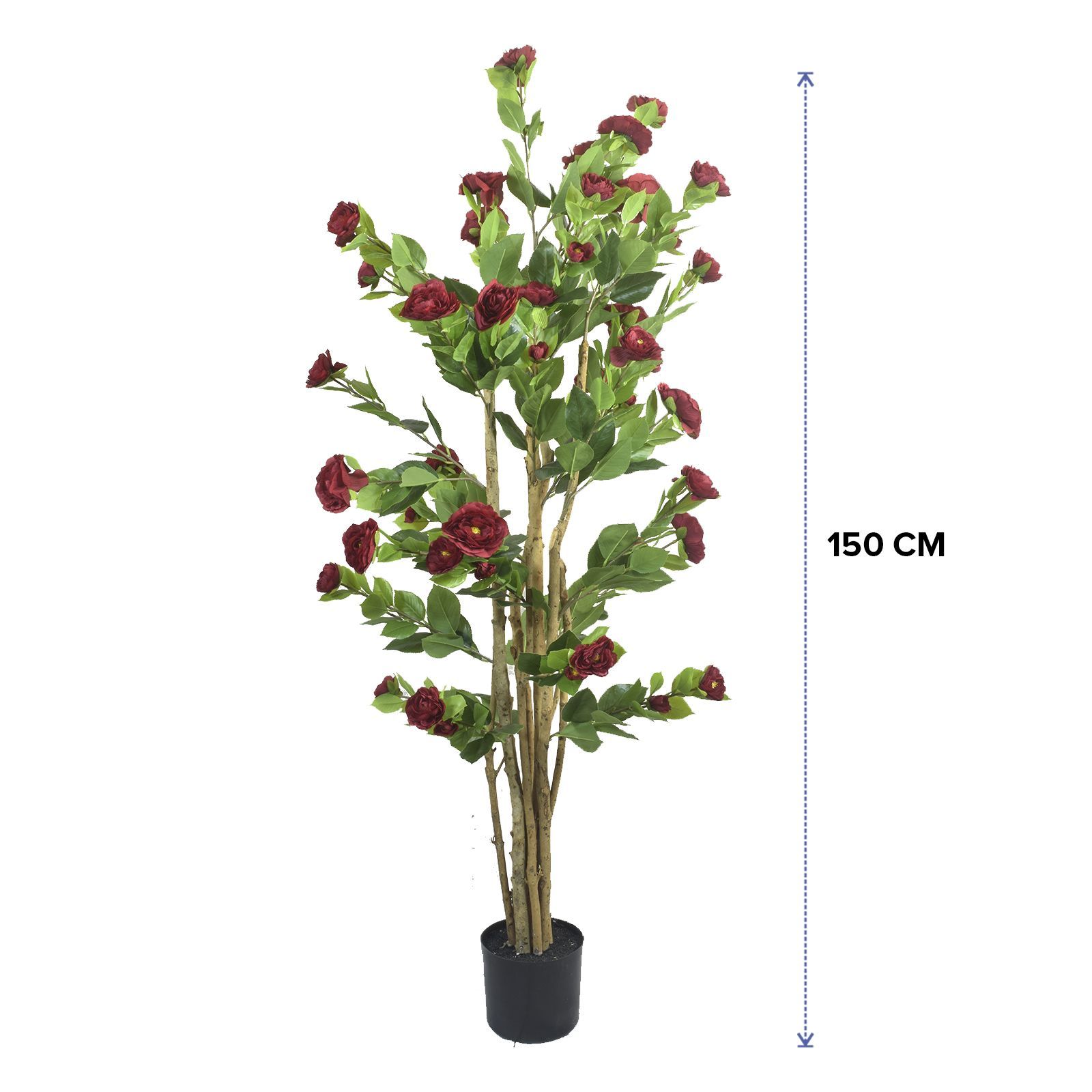 619965-CAMELIA150-dimensiones.jpg